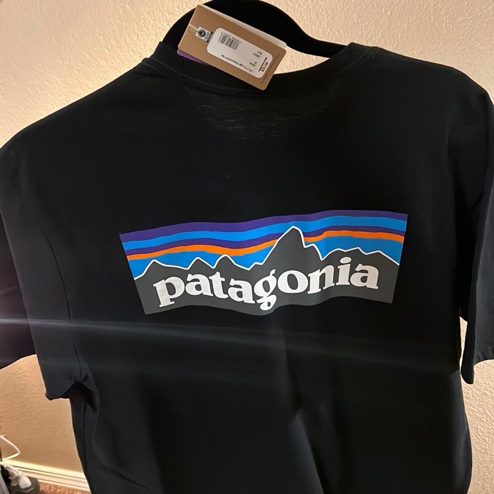 Patagonia Classic Tshirt